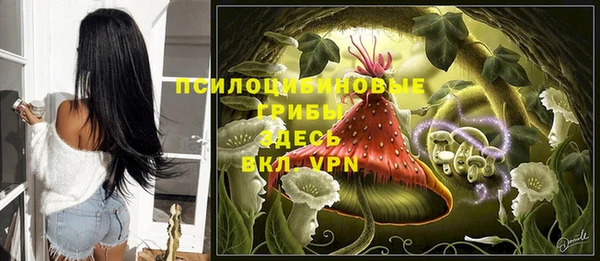 мет Рославль