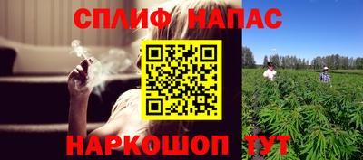 шишки Владимир