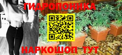 PSILOCYBIN Брянск