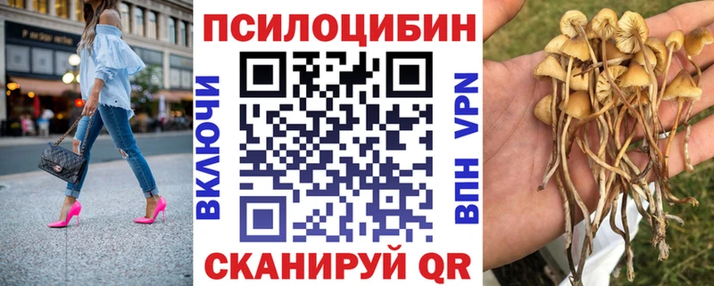 Псилоцибиновые грибы Cubensis  MEGA   Астрахань 
