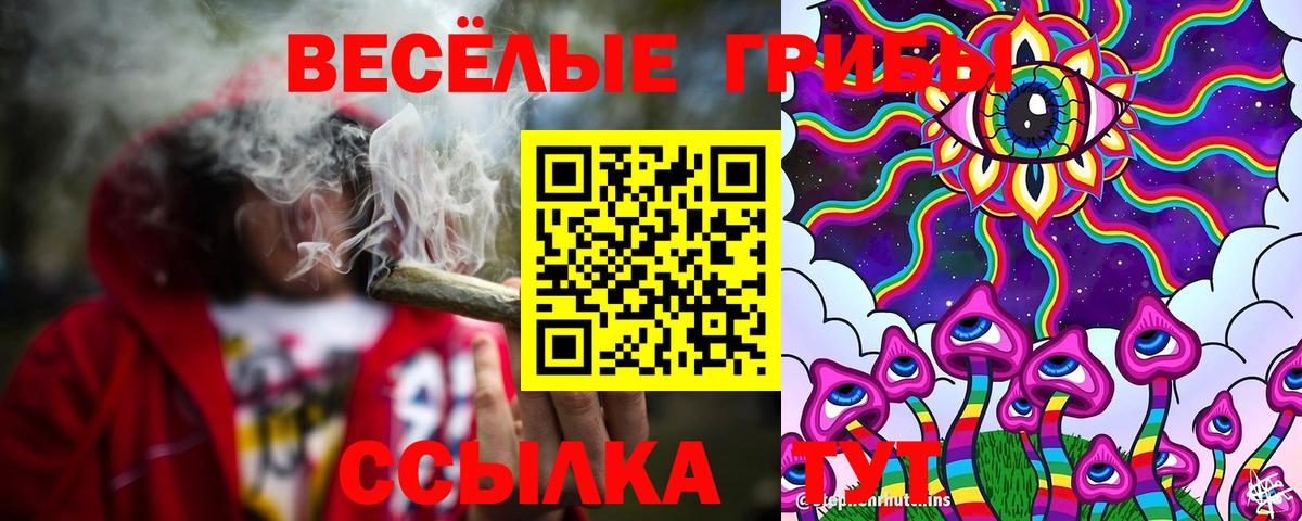 Галлюциногенные грибы Magic Shrooms  Вход с VPN  Псилоцибиновые грибы Cubensis  Астрахань 