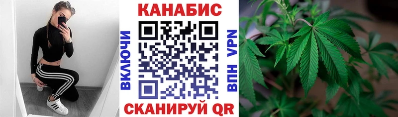 Каннабис OG Kush Астрахань